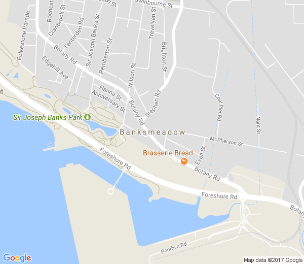 Map of BANKSMEADOW NSW