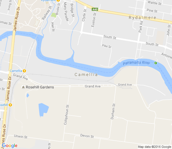 Map of CAMELLIA NSW