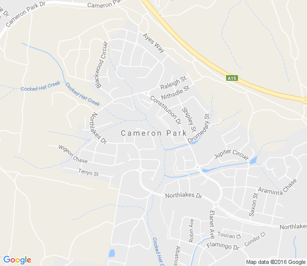 Map of CAMERON PARK NSW