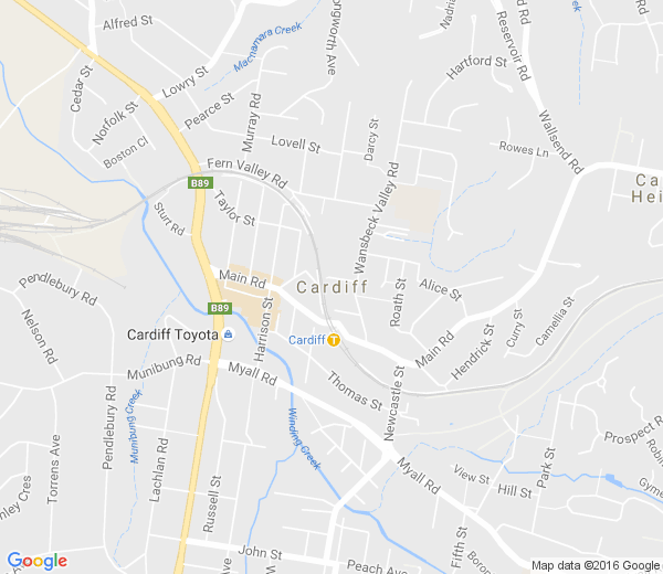 Map of CARDIFF NSW