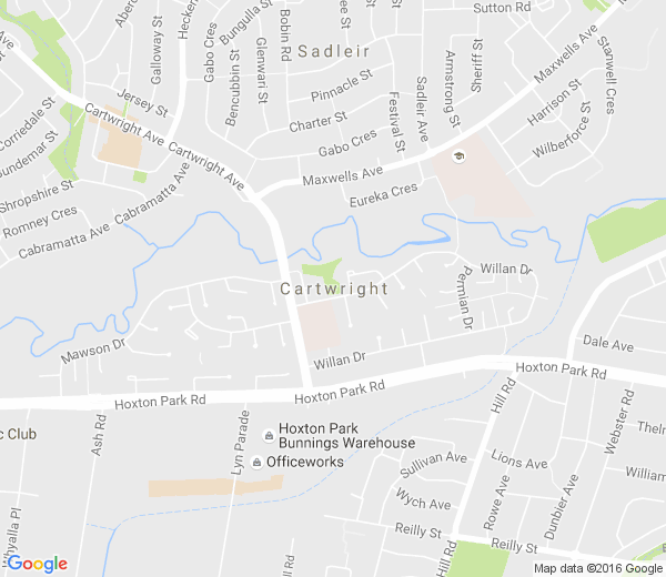 Map of CARTWRIGHT NSW