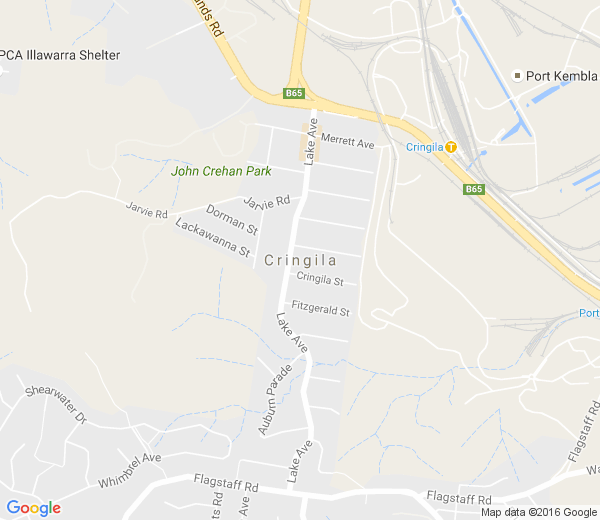 Map of CRINGILA NSW