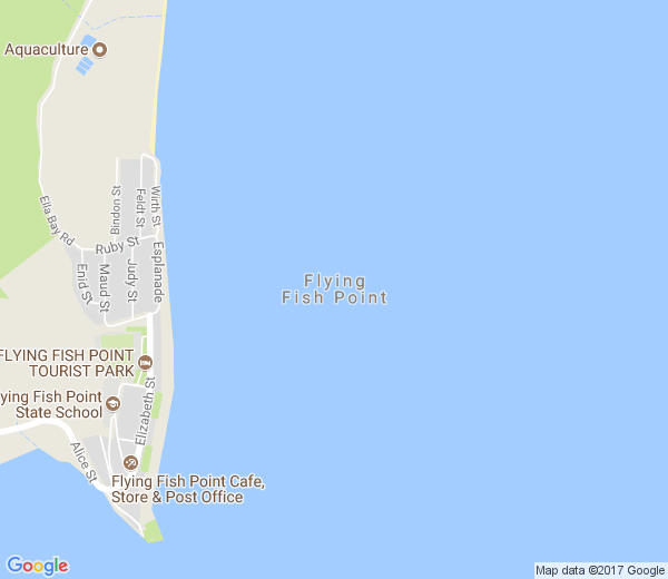 Map of FLYING FISH POINT QLD
