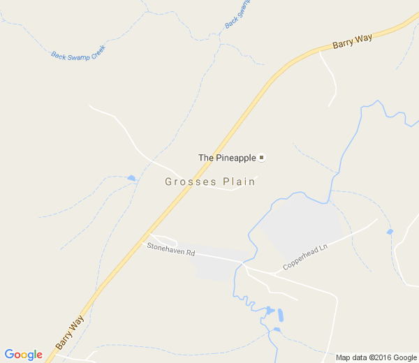 Map of GROSSES PLAIN NSW