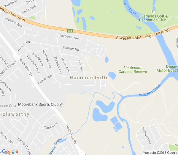 Map of HAMMONDVILLE NSW