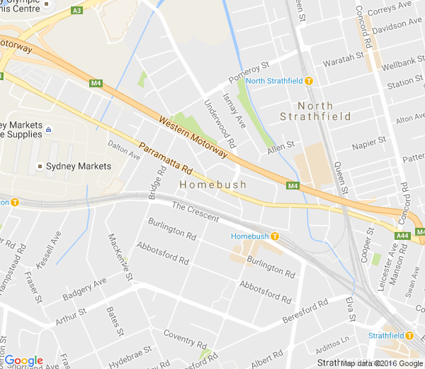 Map of HOMEBUSH SOUTH NSW