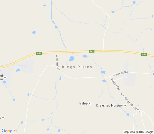 Map of KINGS PLAINS NSW