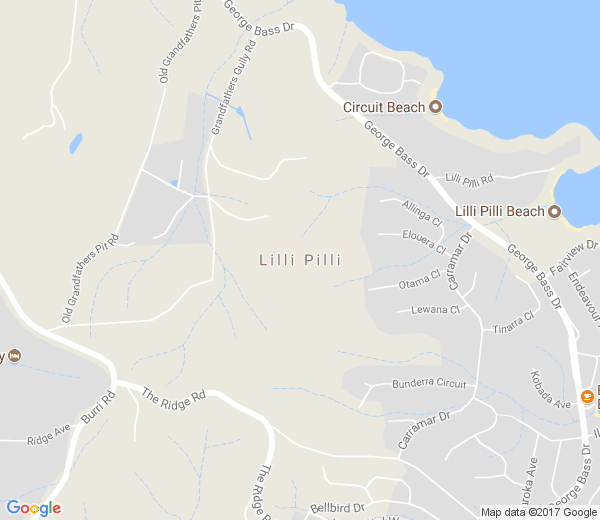 Map of LILLI PILLI NSW