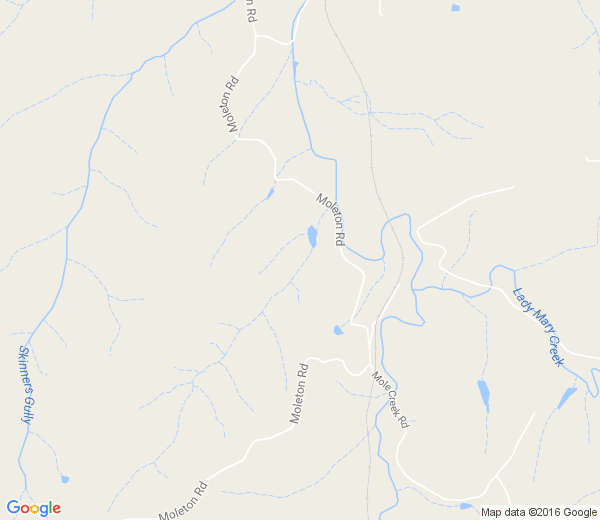 Map of MOLETON NSW