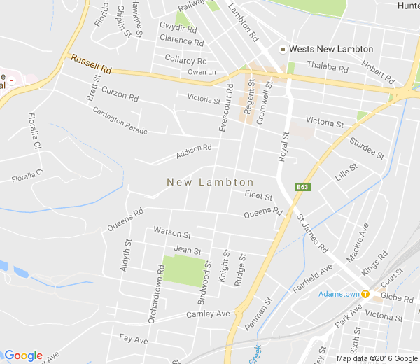 Map of NEW LAMBTON NSW