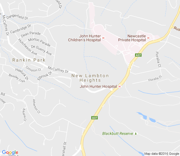 Map of NEW LAMBTON HEIGHTS NSW