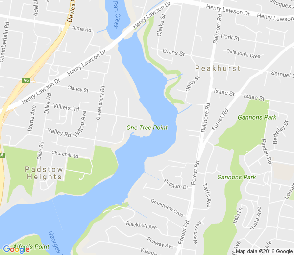 Map of ONE TREE POINT NSW