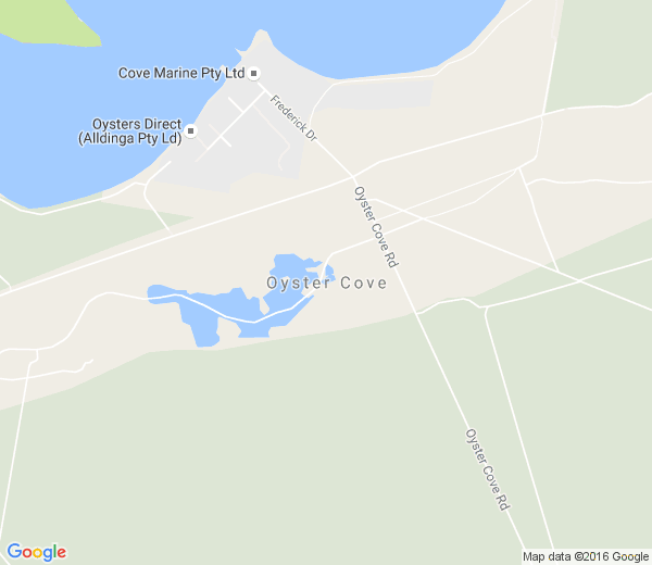 Map of OYSTER COVE NSW