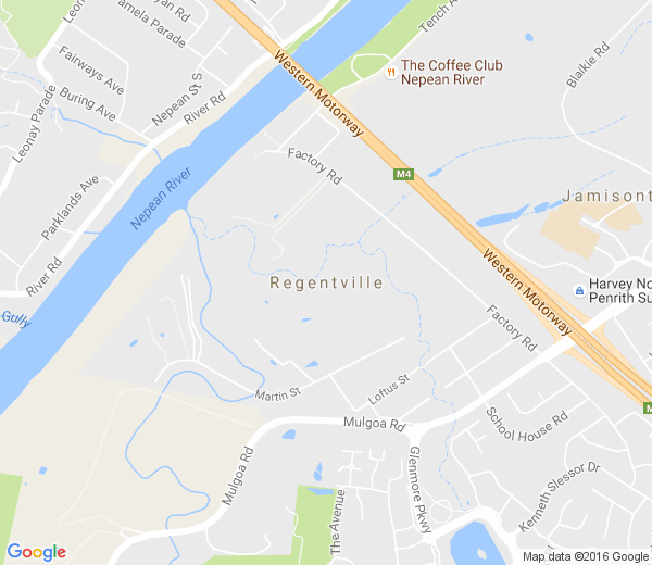 Map of REGENTVILLE NSW