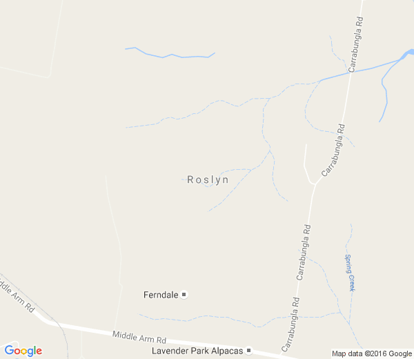 Map of ROSLYN NSW