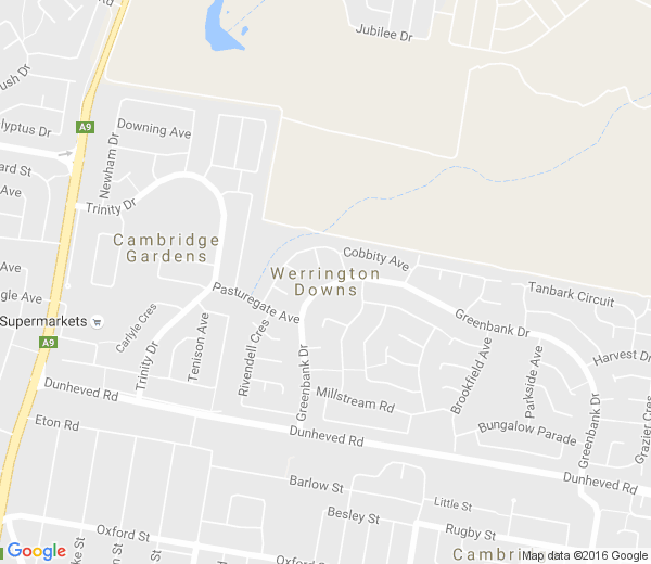 Map of WERRINGTON DOWNS NSW